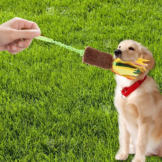 Dog Toy Rope Fun Squeaky Dog Chew Toy with Elastic Drawstring Interactive Toy