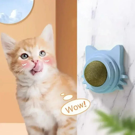 Lickable Catnip Ball Toy, Teeth Cleaning Chew Toy with Natural Catnip for Kittens & Cats