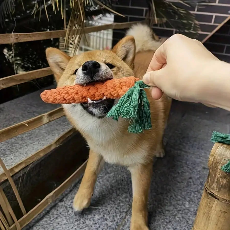 12pcs Durable Dog Toys, Random Styles & Materials, Large Size Chew Toys, Teeth Cleaning, Tug Of War, Boredom Relief, Encourage Interactive Play