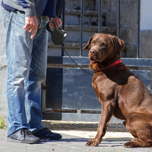 The Pet Leash Comes with a Light, Automatic Retractable, For Dogs and Cats