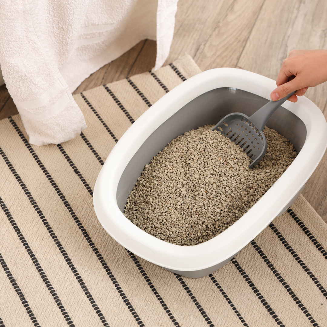 Litter Boxes – Wagging Wonders Co