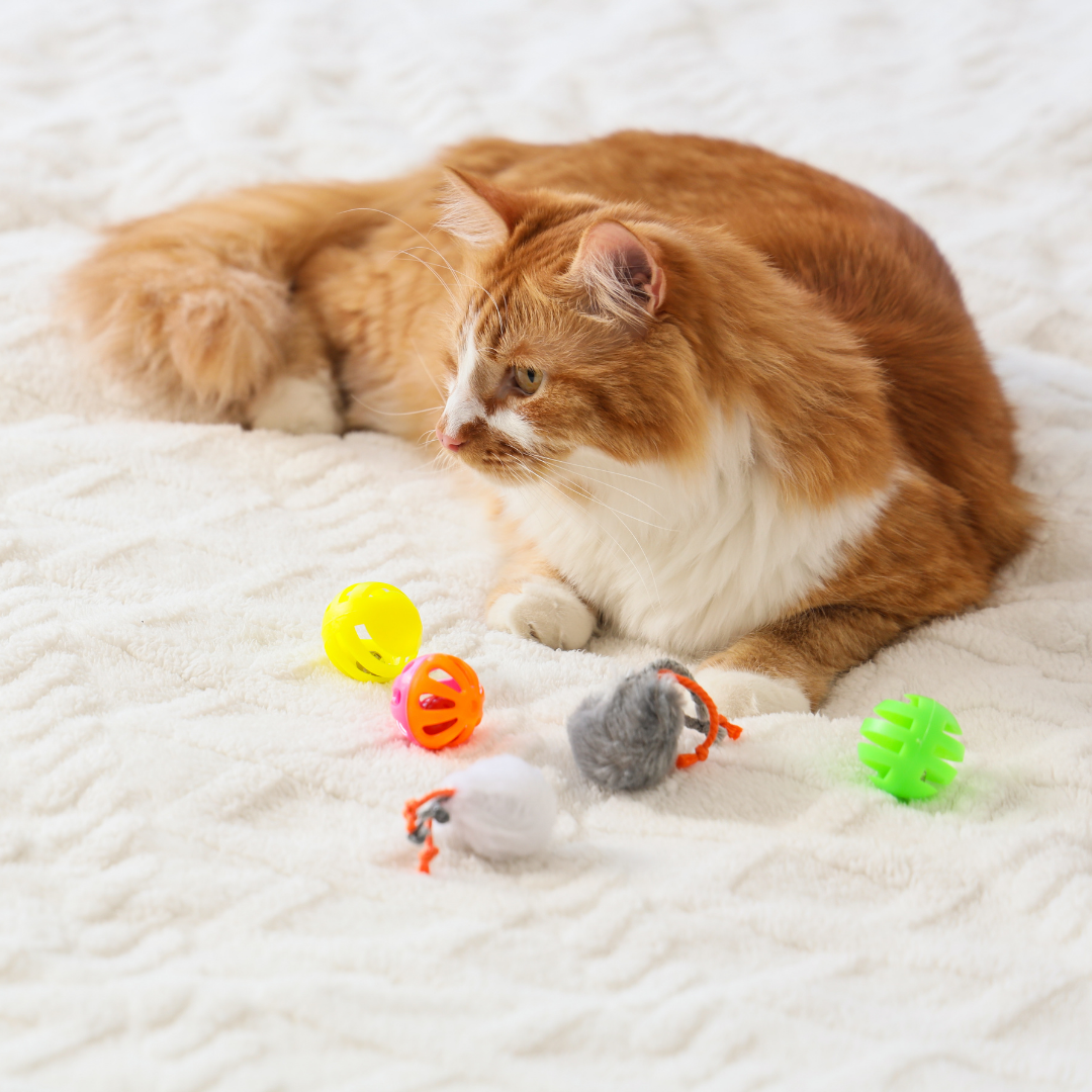 Cats
