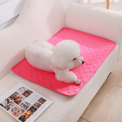 Dog Pee Pad Blanket Reusable Absorbent Washable Training Pad
