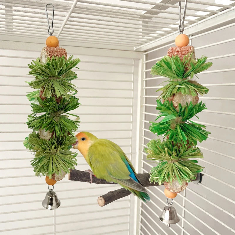 Parrot Chew Toys Natural Corn Husk Ball and Cob String Hanging Foraging Interactive Bird Toys