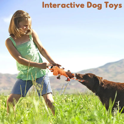 Squeaky Dog Toys with Pull Rope for All Sizes, Interactive Tug of War Plush toy