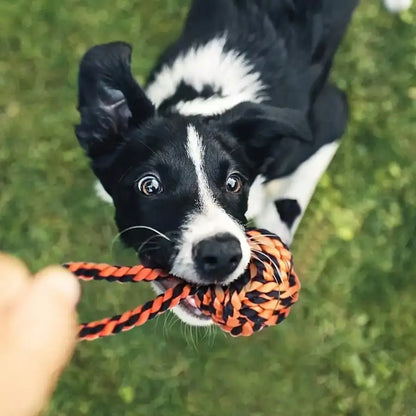 12pcs Durable Dog Toys, Random Styles & Materials, Large Size Chew Toys, Teeth Cleaning, Tug Of War, Boredom Relief, Encourage Interactive Play