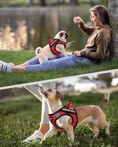 Lightweight Service Dog Vest for Small Dogs with Patch Set