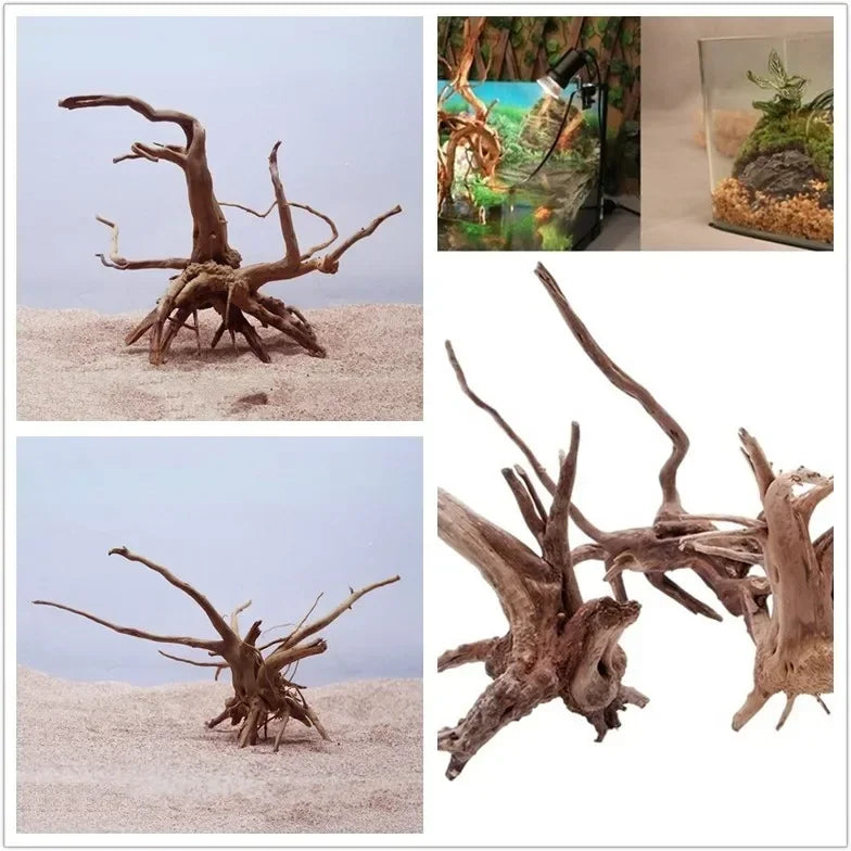 Natural Tree Trunk Driftwood Aquarium, Fish Tank  And Reptile Wood Decoration