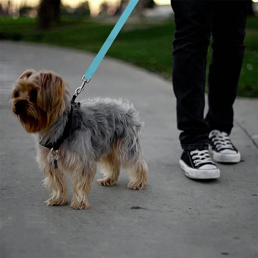 1pc Pet Car Belt, Dog Car Leash, Retractable Backseat Pet Tether,