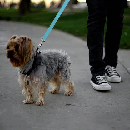 1pc Pet Car Belt, Dog Car Leash, Retractable Backseat Pet Tether,