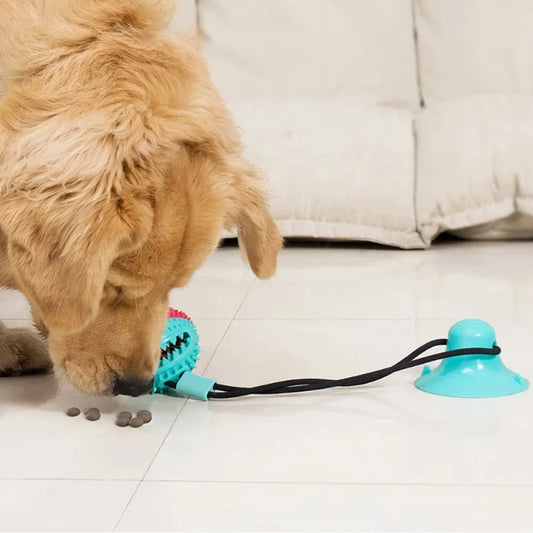 Dog Food Toys, Silicon Suction Cup, Interactive Dog Ball For Tug and Chew Tooth Cleaning