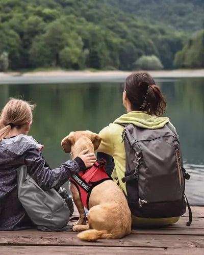 Lightweight Service Dog Vest for Small Dogs with Patch Set