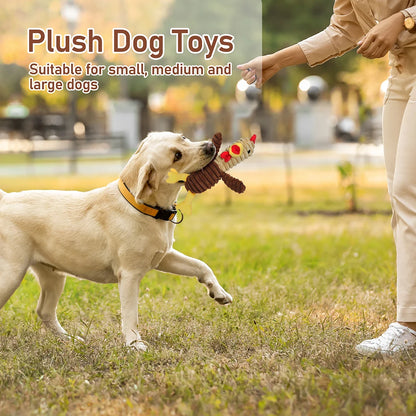 5 Pack Plush Dog Squeaky Toys, Assortment Value Bundle for Small Medium And Large Dogs,