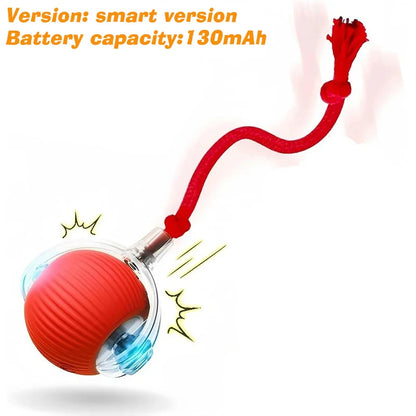 New Dog Interactive Ball Toy,Automatic Rolling Dog Ball Rechargeable,Intelligent Balls Toy for Dogs