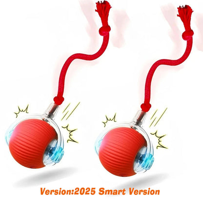 New Dog Interactive Ball Toy,Automatic Rolling Dog Ball Rechargeable,Intelligent Balls Toy for Dogs
