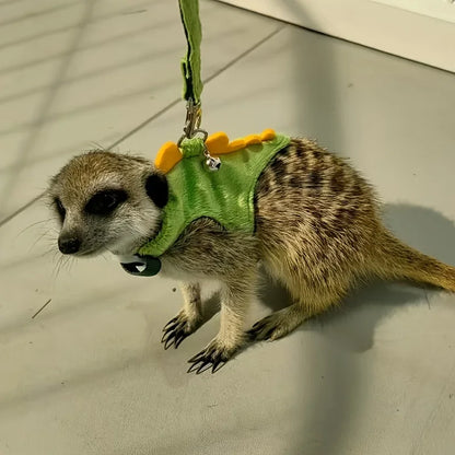 Ferret Lead Rope Vest Type Adjustable Pet Rope Cute Dinosaur Shape with Bell for Walking Ferrets