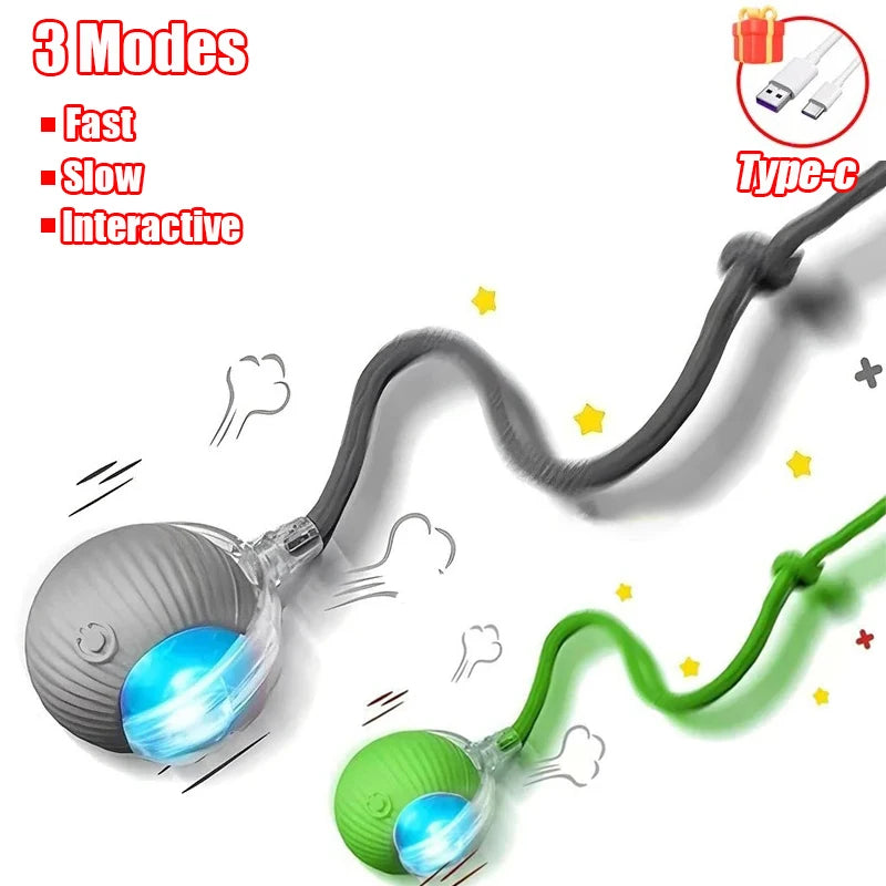 New Cat Interactive Ball  - Automatic Rolling Ball Faux Tail Rechargeable Smart Pet Electric Toy