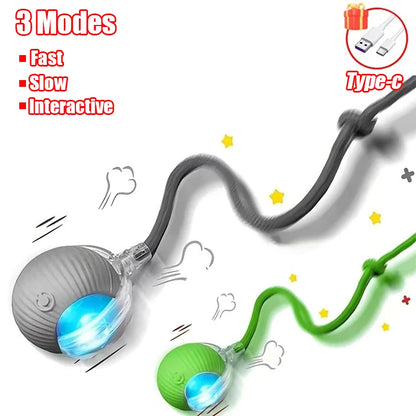 New Cat Interactive Ball  - Automatic Rolling Ball Faux Tail Rechargeable Smart Pet Electric Toy