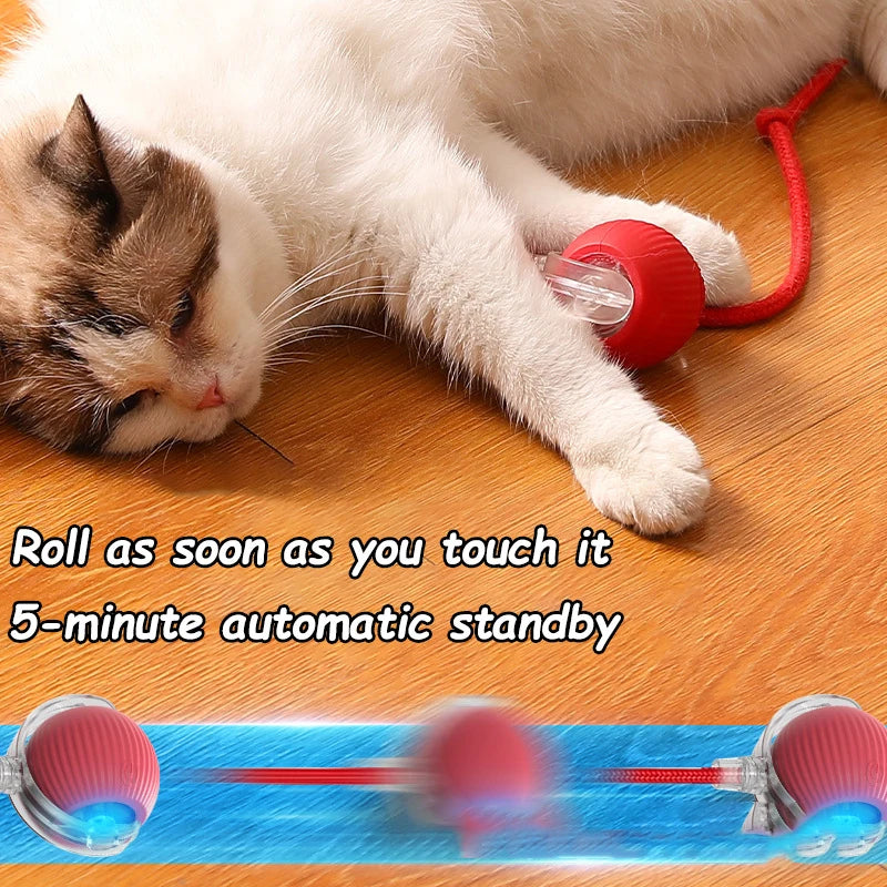 New Cat Interactive Ball  - Automatic Rolling Ball Faux Tail Rechargeable Smart Pet Electric Toy