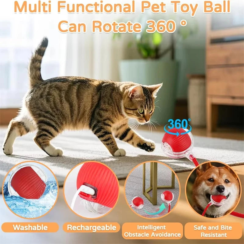 New Cat Interactive Ball  - Automatic Rolling Ball Faux Tail Rechargeable Smart Pet Electric Toy