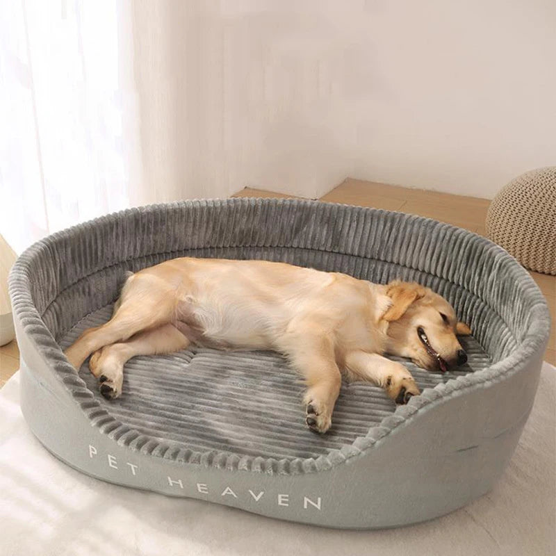 Orthopedic Dog Bed for Small to Large Dogs.  Waterproof
