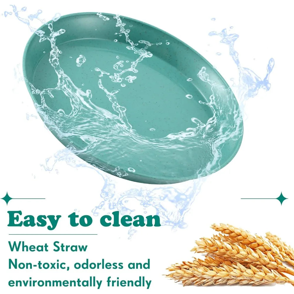 6 Pieces Small Pet Food Bowls for Cats and Kittens Shallow Wide Low-Profile Feeding Bowls Set,