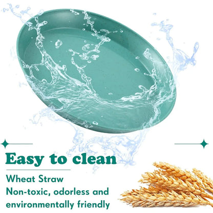 6 Pieces Small Pet Food Bowls for Cats and Kittens Shallow Wide Low-Profile Feeding Bowls Set,