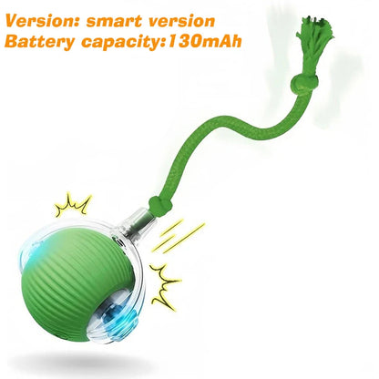 New Dog Interactive Ball Toy,Automatic Rolling Dog Ball Rechargeable,Intelligent Balls Toy for Dogs