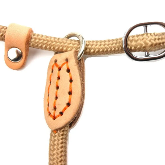 Slip Rope Lead Leash Heavy Duty Braided Rope Adjustable Loop Collar for Medium Large Dogs