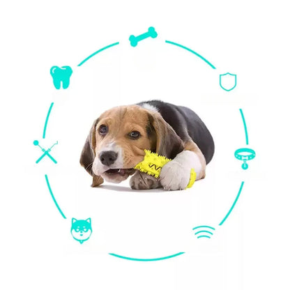 Durable Rubber Dog Chew Squeaky Toy - Teeth Cleaning Interactive