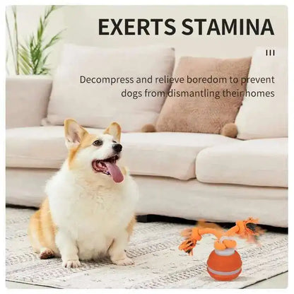 Smart Dog Toys Interactive Teasing Ball With Motion Activation