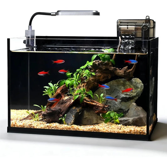 2.8 Gallon Glass Fish Tank with Light and Filter | Aquarium Kit for Small Fish or Shrimp, Ideal for Desktop Corner