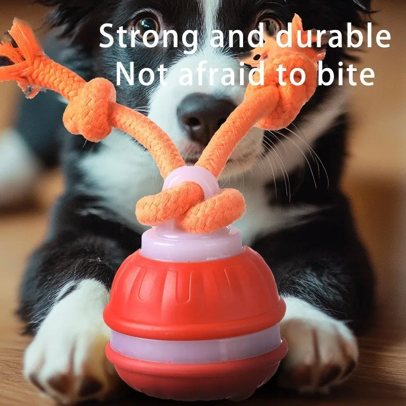Smart Dog Toys Interactive Teasing Ball With Motion Activation