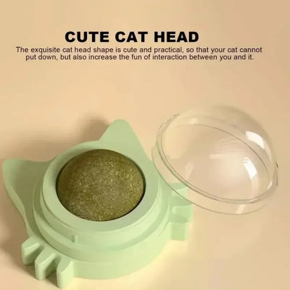 Lickable Catnip Ball Toy, Teeth Cleaning Chew Toy with Natural Catnip for Kittens & Cats