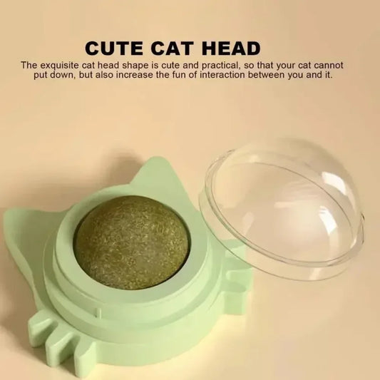 Lickable Catnip Ball Toy, Teeth Cleaning Chew Toy with Natural Catnip for Kittens & Cats
