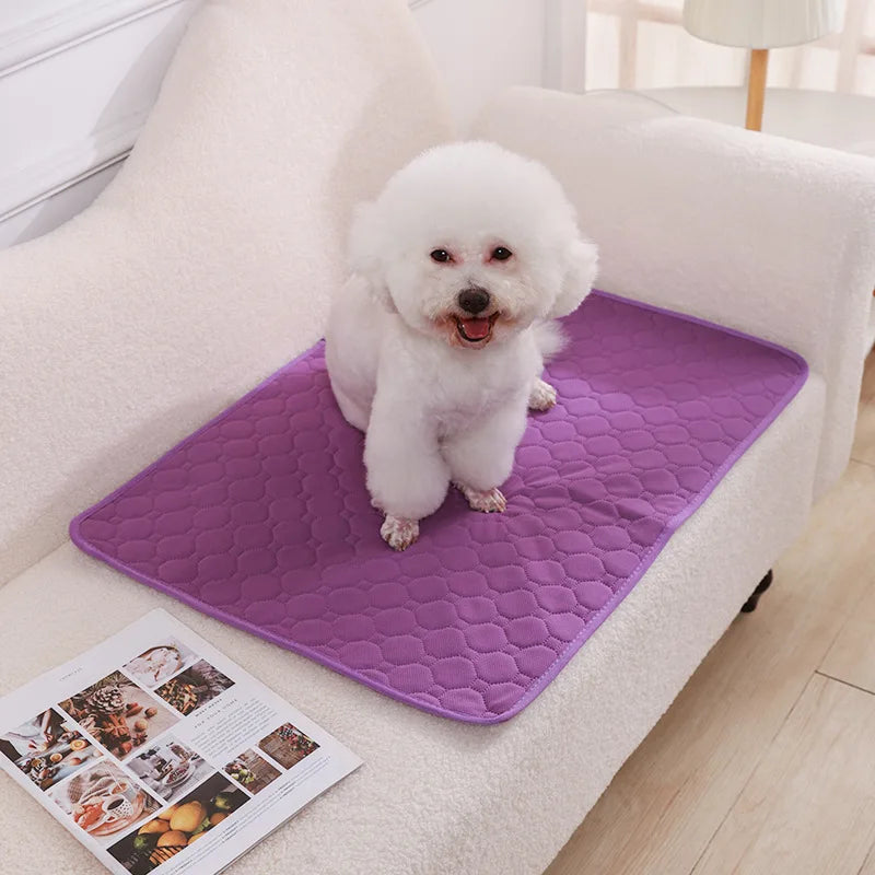 Dog Pee Pad Blanket Reusable Absorbent Washable Training Pad