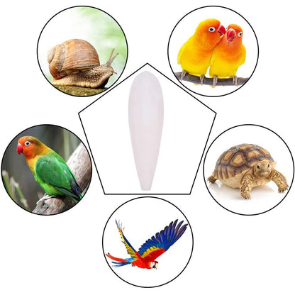 Cuttlefish Bone Parrot Chewing Toys Creative Calcium Cuttlebone Pick Stone