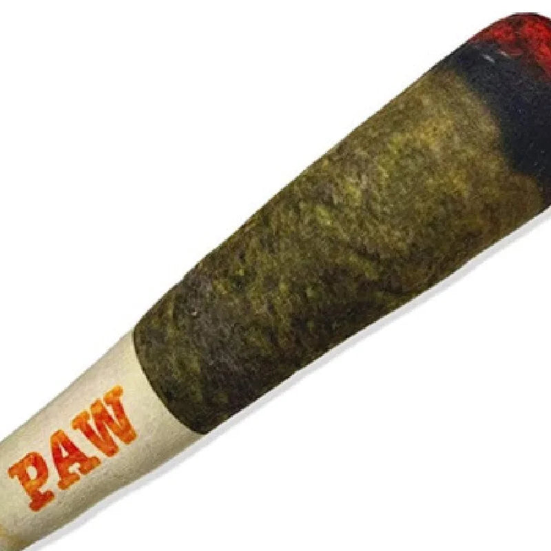 Interactive Dog Cigar Small Resistant Squeak Indestructible Chew Toy