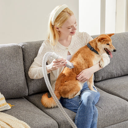 JHK 2.5L Professional Pet Grooming Vacuum Kit 3 Suction Modes and 5 Groomer Tools with Cordless Low Noise Dog Clippers
