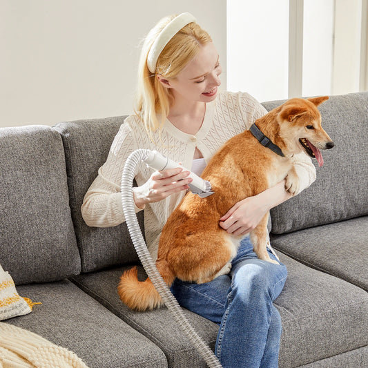 JHK 2.5L Professional Pet Grooming Vacuum Kit 3 Suction Modes and 5 Groomer Tools with Cordless Low Noise Dog Clippers