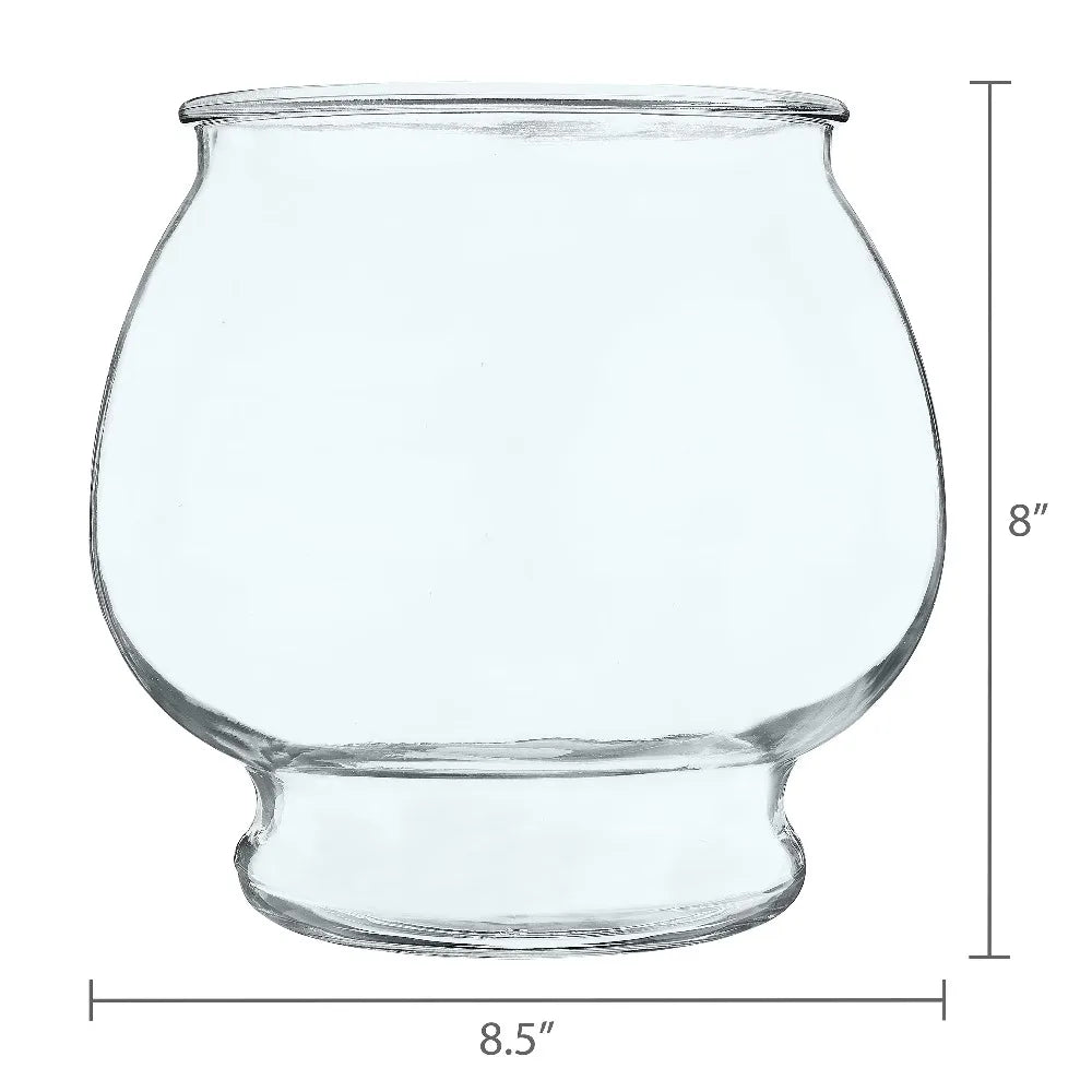 Footed Glass Fishbowl for Betta Fish 1 Gallon Round Goldfish Bowl with Plant for Home Decor