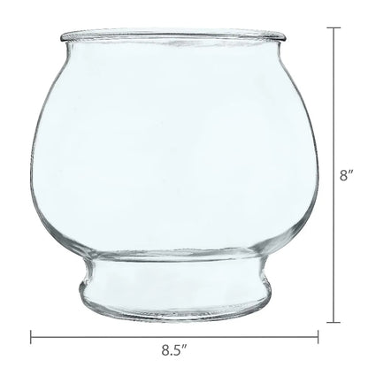 Footed Glass Fishbowl for Betta Fish 1 Gallon Round Goldfish Bowl with Plant for Home Decor