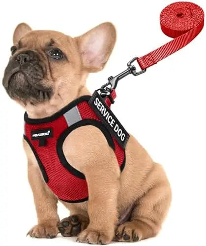 Lightweight Service Dog Vest for Small Dogs with Patch Set