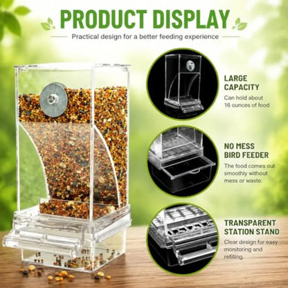 Acrylic Auto Bird Feeder, No Mess Design, Large Capacity, for Budgies Cockatiels Lovebirds,