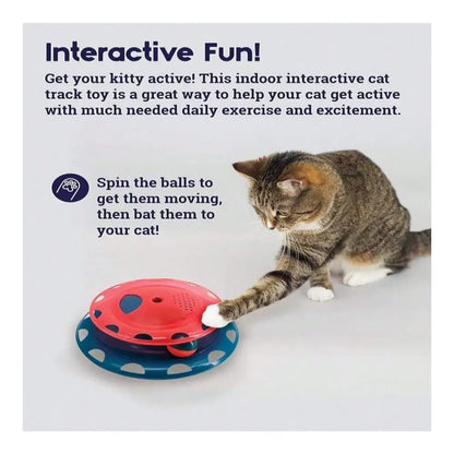 Catnip Chaser Track  Interactive Cat Toy With Catnip For Batting, Swatting, And Mental Stimulation