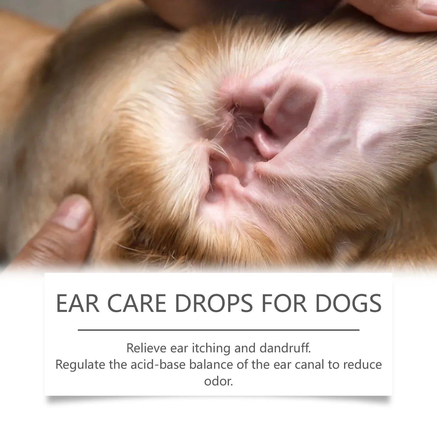 Professional Pet Ear Cleaning Drops 30ml – Gentle Formula Suitable for Dogs and Cats, Removes Earwax, Dirt, and Odor, Prevents Infection, Relieves Itching, and Is Ideal for Daily Care.
