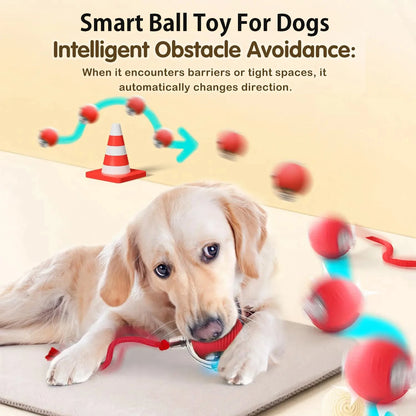 New Dog Interactive Ball Toy,Automatic Rolling Dog Ball Rechargeable,Intelligent Balls Toy for Dogs