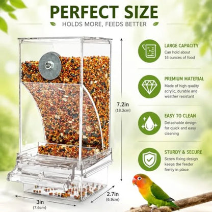 Acrylic Auto Bird Feeder, No Mess Design, Large Capacity, for Budgies Cockatiels Lovebirds,