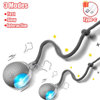 New Cat Interactive Ball  - Automatic Rolling Ball Faux Tail Rechargeable Smart Pet Electric Toy