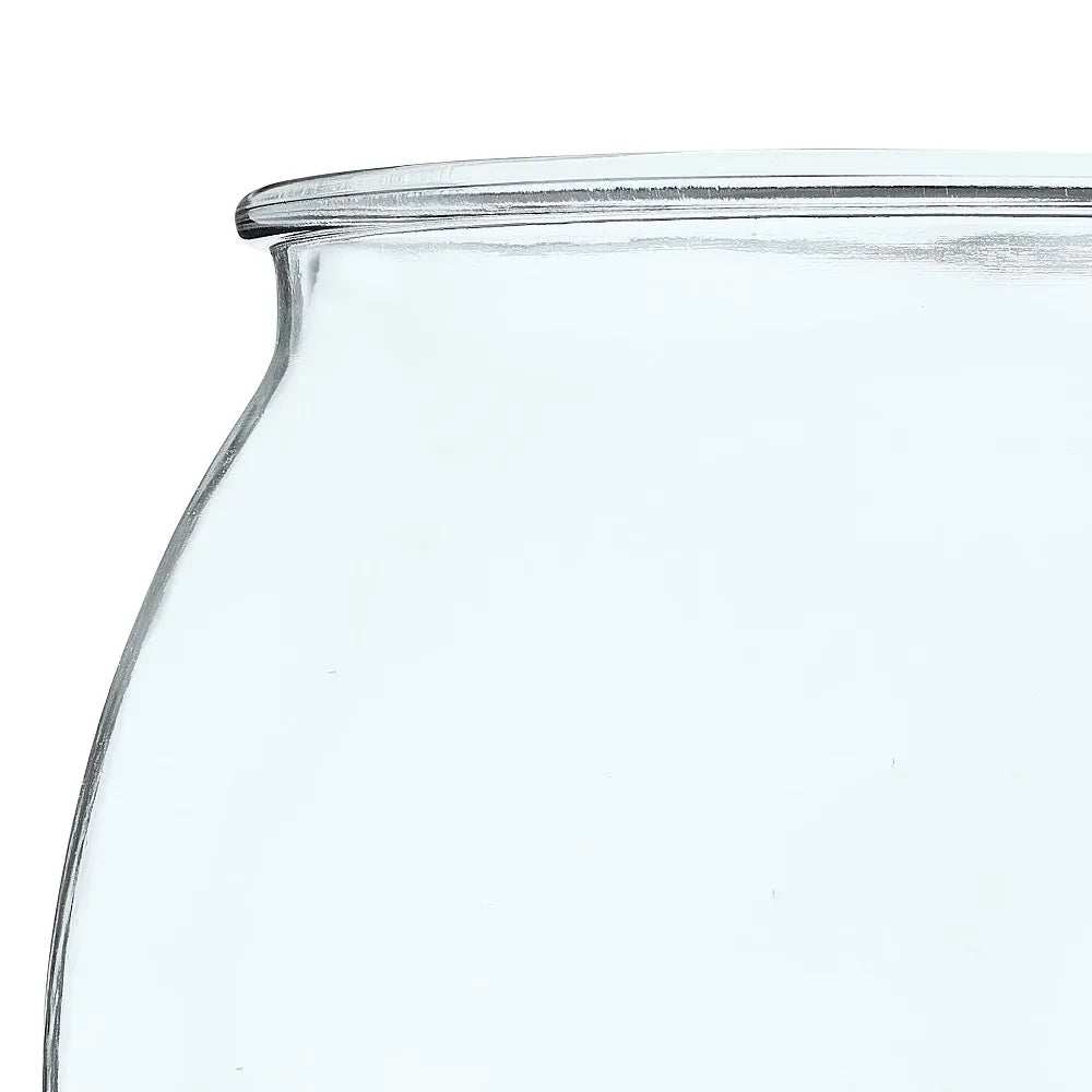 Footed Glass Fishbowl for Betta Fish 1 Gallon Round Goldfish Bowl with Plant for Home Decor